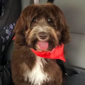 Meet your Posher, Lesley